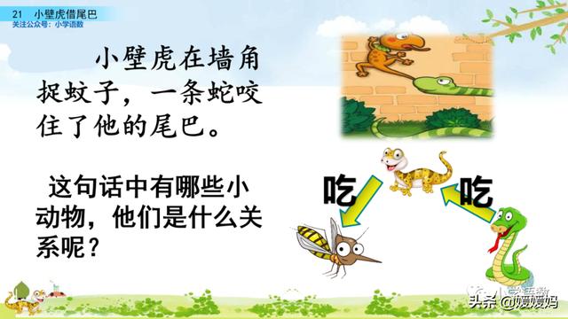 一年级下册语文课文21《小壁虎借尾巴》图文详解及同步练习