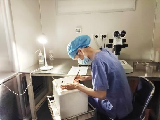 今天是“世界胚胎学家日”，图文揭秘试管婴儿的全过程