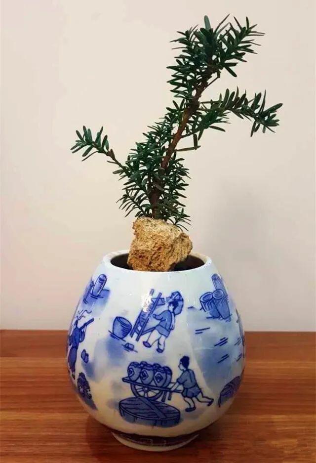 洗土豆机更换金刚砂