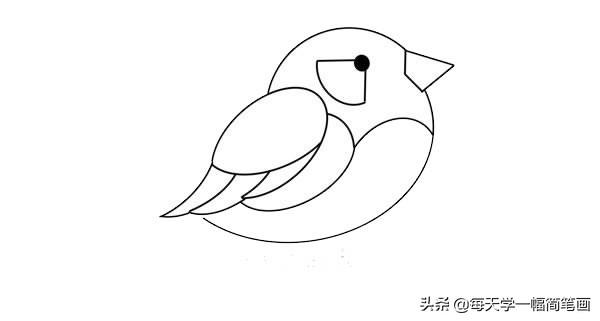 我想画小鸟(怎么画小鸟)-天晟网