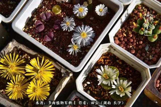 影片剧照