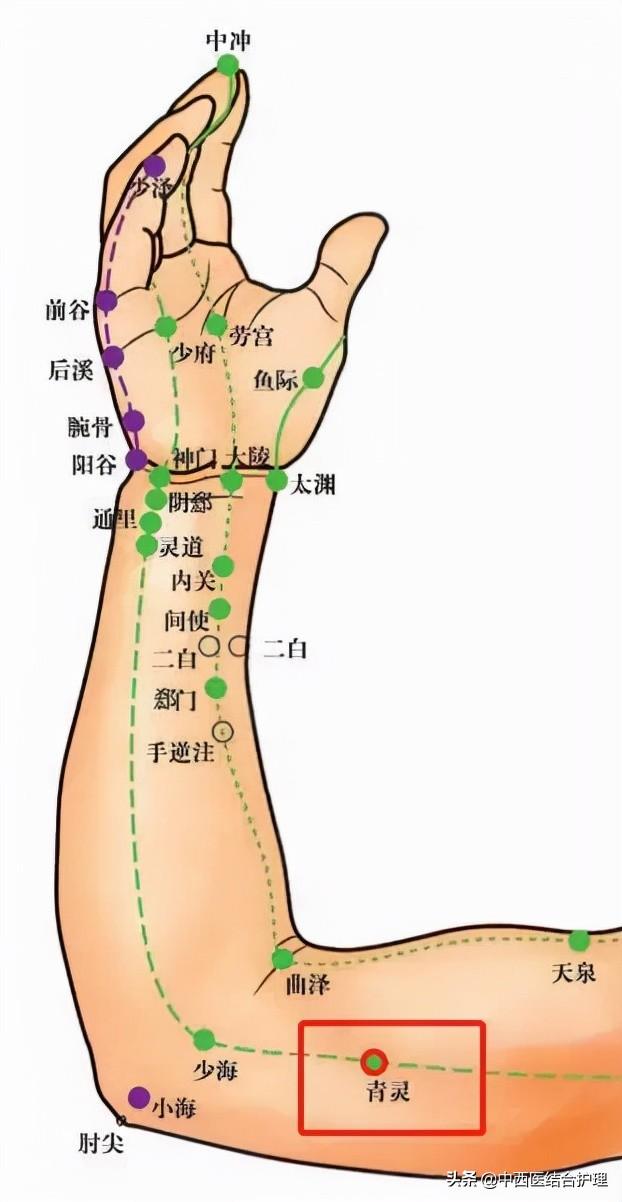 上臂内侧经络图片