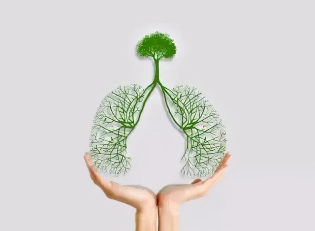 五个养肺妙招 应对“多事之秋”