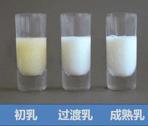 前奶解渴，后奶管饱，宝宝多久能吃到后奶？3个技巧帮宝宝吃后奶