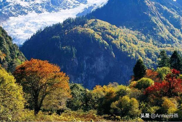 ����׿���ר������(Ϊ�������ԣ�����׿������ز��������δ�ʹ��ν���г�����֤��)