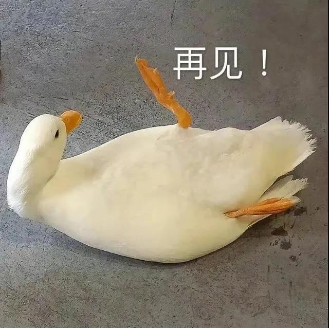 动辄大几百万！为何互联网大厂都热衷于换logo？