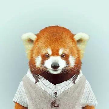 大熊猫拍证件照动物的证件照看了好想笑