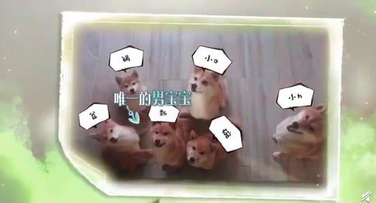 影片剧照