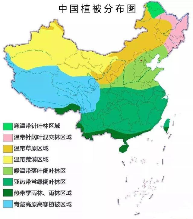 温带落叶阔叶林分布图片