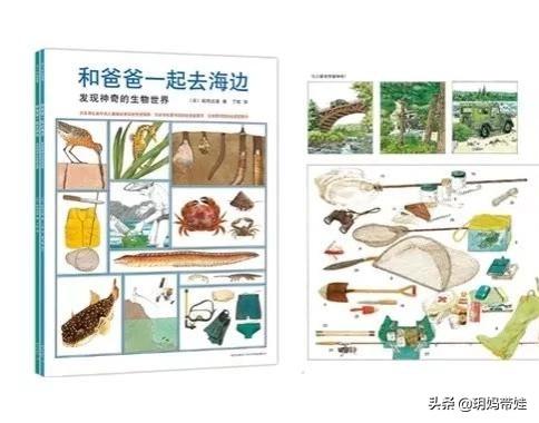 宝宝的绘本，按年龄分类，这些值得买？