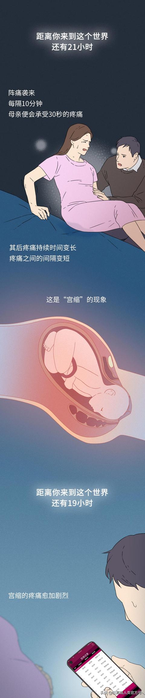 你出生前的24小时，都经历了什么？