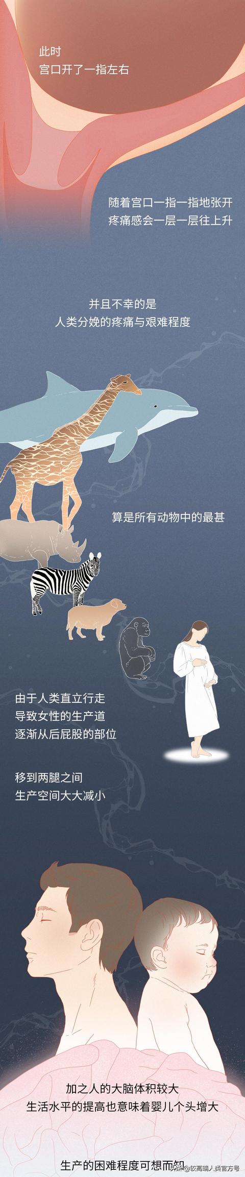 你出生前的24小时，都经历了什么？