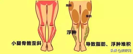 ps:測量坐高時身體一定要挺直,大腿與地面平行並與小腿間呈直角亞洲人