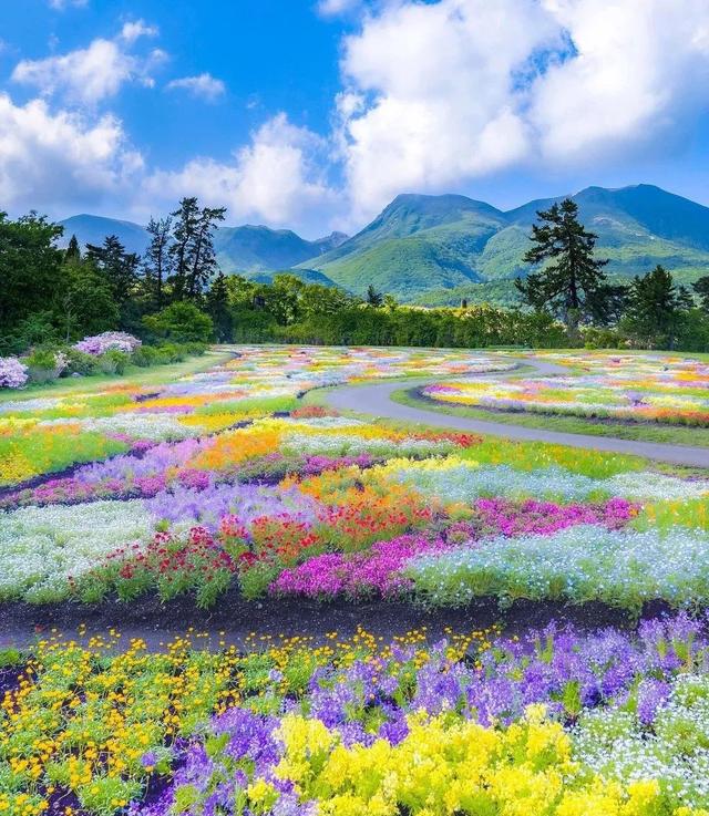 毕业赠言同学之间（毕业送同学的赠言短句）