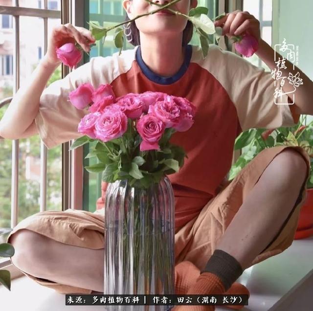 影片剧照
