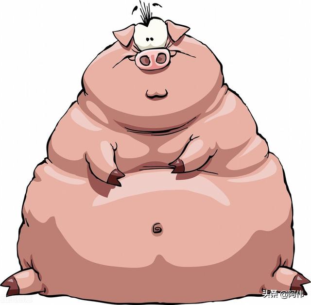 十二生肖猪的来历(十二生肖猪的故事和传说)