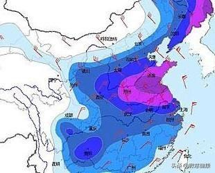 脾阴虚吃什么？