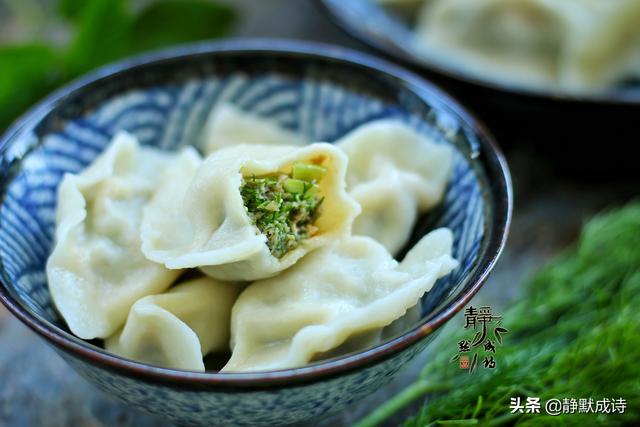 茴香饺子的做法(茴香饺子的做法视频)