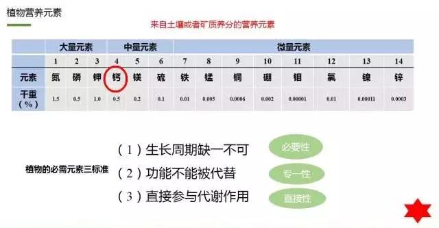 果实膨大期补钙很关键，能够防病、增加果实硬度、表光度、防裂1