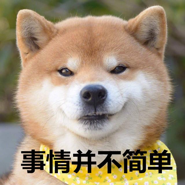 狗价格