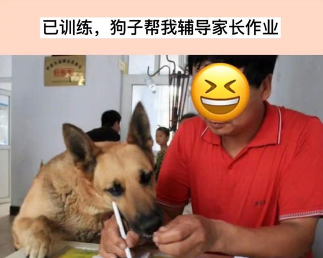 如何照顾好宝宝？分享几个照顾宝宝的正确方式，一起来涨知识