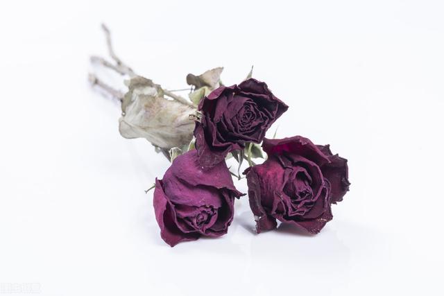 35岁以后，我身体出现得这些变化，我是如何应对得