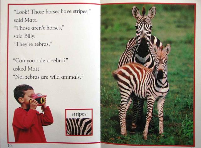 儿童英语科学启蒙绘本DK  Readers分级读物DK  pre--level  4