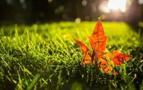 秋天宝宝需要注意事项有哪些呢