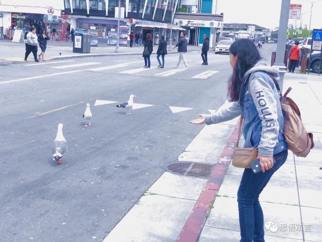 美國行之二：舊金山篇
