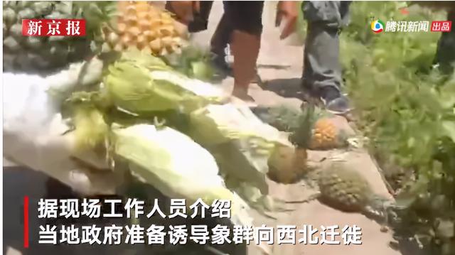 云南挖斗洗砂机厂家直销