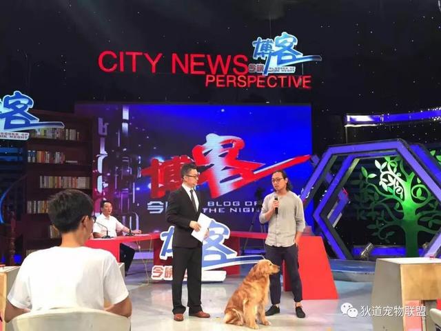 沈阳宠物美容学校