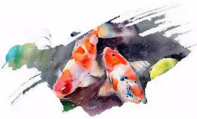 过滤机原理讲解_硅藻土过滤机