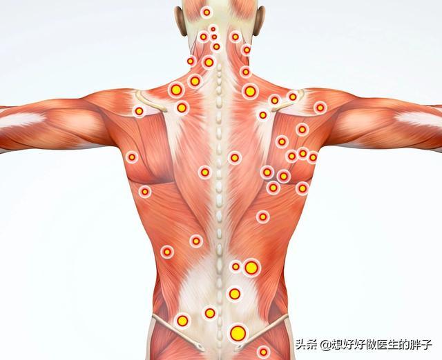 后背位置图片,后背图片位置示意图(第12页)_大山谷图库