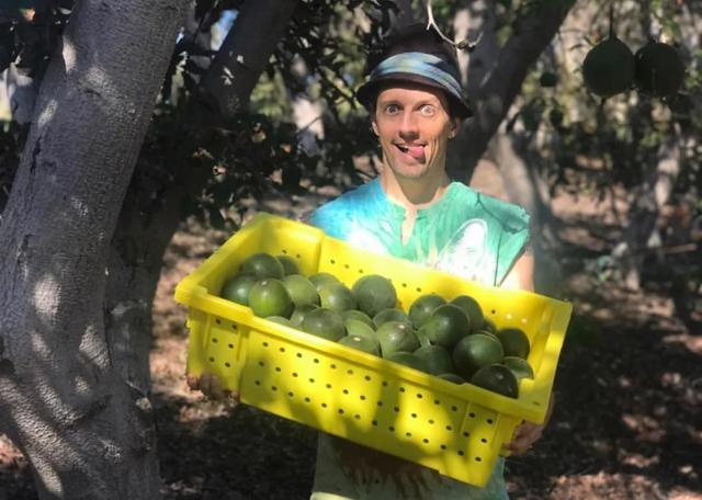 Jason Mraz新歌发布格莱美天王私下竟是种菜 吃素的 农夫 全网搜