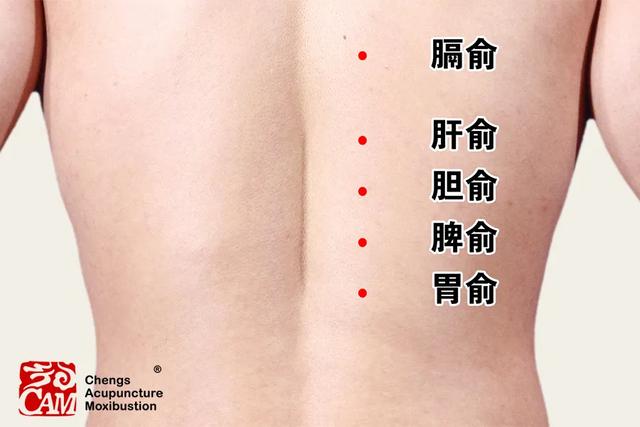 心脑血管疾病进入高发期，养生防病艾灸12背俞穴