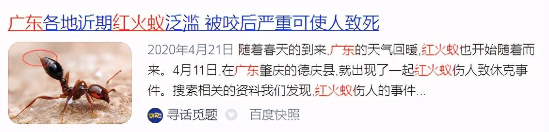 s一75圆锥破碎机小齿轴结构图