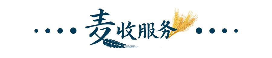 阜阳轮式洗砂机排行
