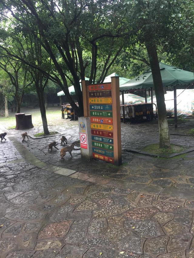天门可逆锤式破碎机