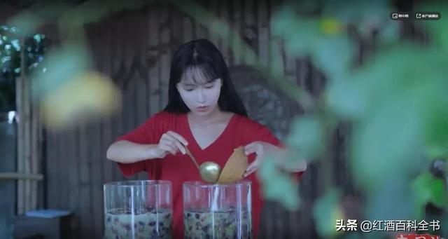 自酿葡萄酒过滤机的用处
