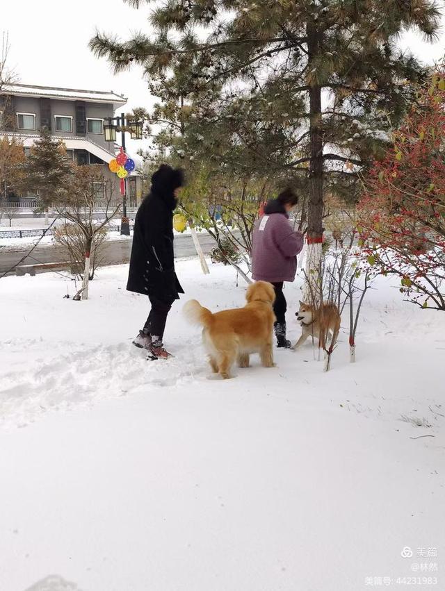 文章图片17