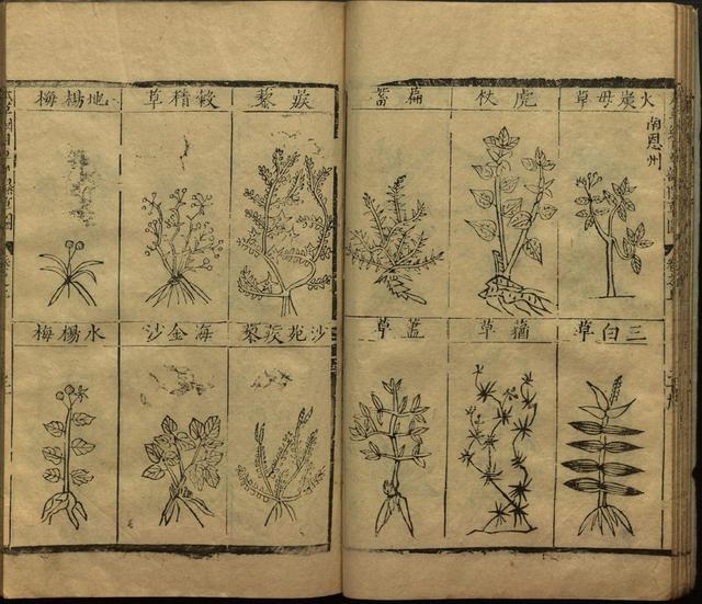 李时珍巨著《本草纲目》插图上卷（1596年刻本）