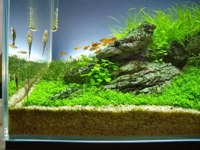 45cm制砂机