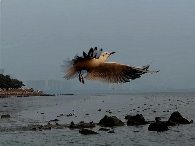 娇儿无孝子，一味地在物质上富养孩子，没有底线的纵容，好吗？