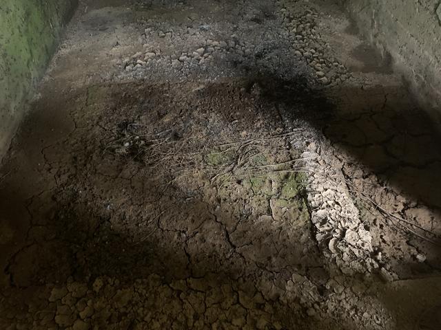 屯昌风化砂制砂机厂家