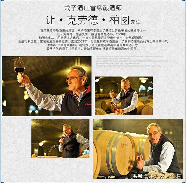 樱桃除梗破碎机多少钱