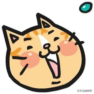 洗衣机洗猫砂