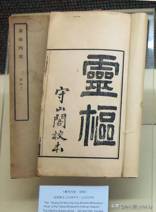 经络到底是什么