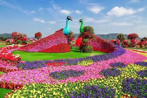 深圳机械展可以带小孩