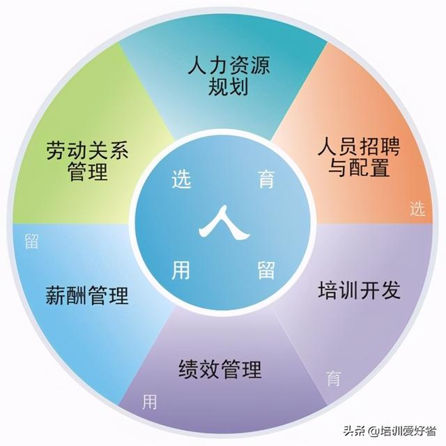 人力资源的六大板块