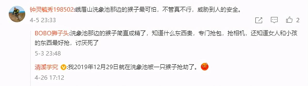 峨眉山猴子:为什么峨眉山的猴子像土匪？